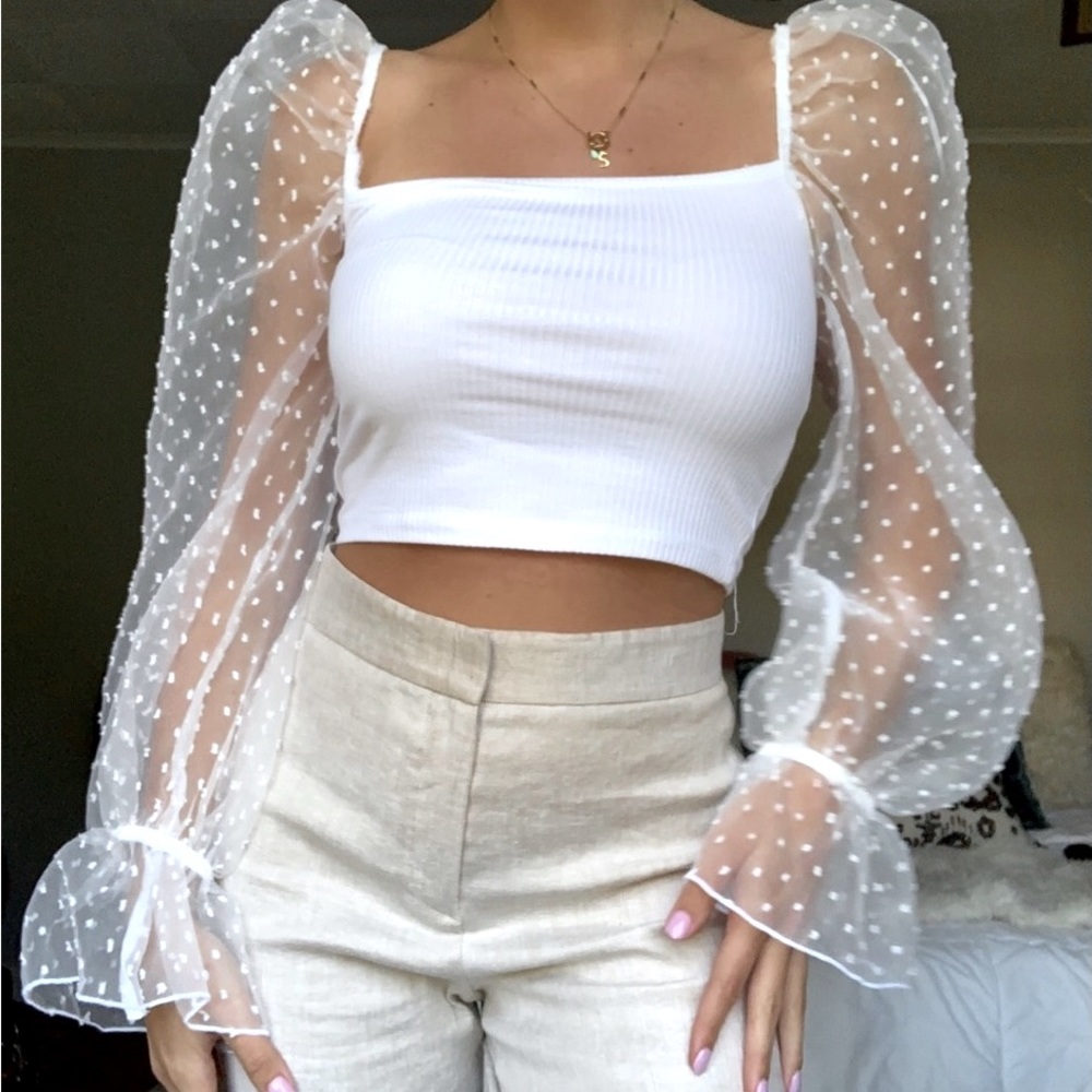 Zara NWT TRF Organza Dotted Mesh Top